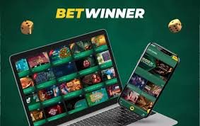 Exploring the BetWinner BF Bookmaker Your Complete Guide